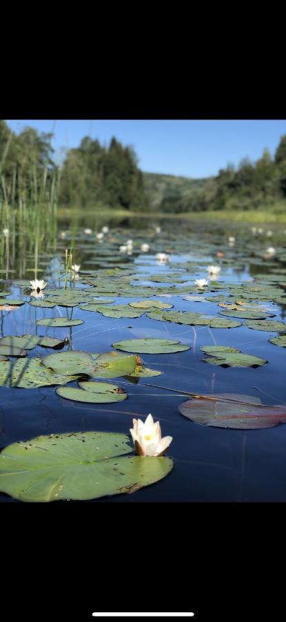 Glamping On Idyllic Lake, Paddle Boards & Rowboat Porsgrunn Zewnętrze zdjęcie