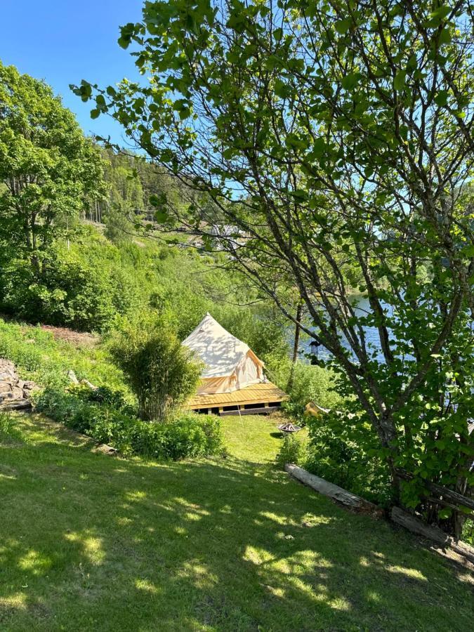 Glamping On Idyllic Lake, Paddle Boards & Rowboat Porsgrunn Zewnętrze zdjęcie